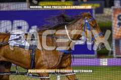 2026_Pacepix_GP23102026_Race6_SouthSideStory_WIN_WEB-5
