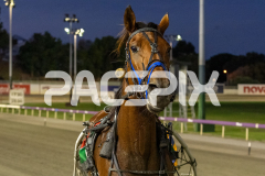 State-My-Case_03-04-2026_WIN_Gloucester-Park_6__04
