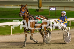 State-My-Case_03-04-2026_WIN_Gloucester-Park_6__05
