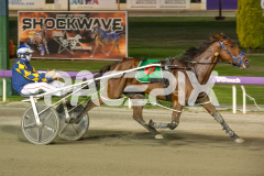 State-My-Case_03-04-2026_WIN_Gloucester-Park_6__10