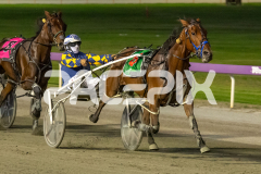 State-My-Case_03-04-2026_WIN_Gloucester-Park_6__14