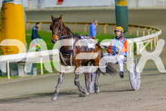 2026_PACEPIX_GP02062026_RACE6_StrikeMaster_WIN_WEB-8