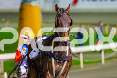 2026_PACEPIX_GP02062026_RACE6_StrikeMaster_WIN_WEB-9