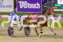 RACE 6 - Sugar Delight