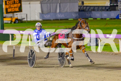 2025_PACEPIX_GP23052025_Race6_SugarDelight_WIN_WEB-10