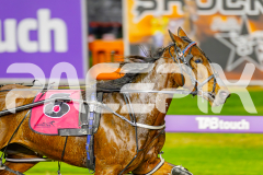 2025_PACEPIX_GP23052025_Race6_SugarDelight_WIN_WEB-4