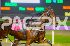 2025_PACEPIX_GP23052025_Race6_SugarDelight_WIN_WEB-7