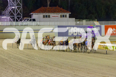 2025_PACEPIX_GP23052025_Race6_SugarDelight_WIN_WEB-8