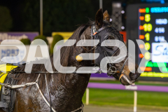 2025_PACEPIX_GP27062025_RACE6_SWAGGER-MAN_WIN_WEB-12