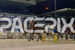 RACE 6 - Sweet Pins