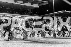 2025_PACEPIX_GP19092025_Race6_SweetPins_WIN_WEB-1
