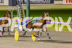 2025_PACEPIX_GP19092025_Race6_SweetPins_WIN_WEB-12