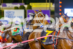 2025_PACEPIX_GP19092025_Race6_SweetPins_WIN_WEB-5