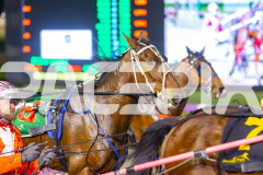 2025_PACEPIX_GP19092025_Race6_SweetPins_WIN_WEB-6