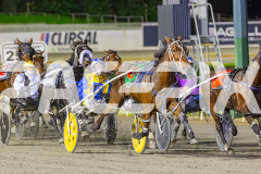 2025_PACEPIX_GP19092025_Race6_SweetPins_WIN_WEB-7
