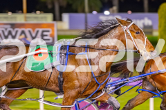 2025_PACEPIX_GP19092025_Race6_SweetPins_WIN_WEB-9