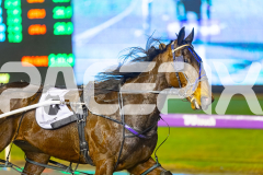2025_PACEPIX_GP19082025_RACE6_TartanRobyn_WIN_WEB-11