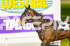 2025_PACEPIX_GP19082025_RACE6_TartanRobyn_WIN_WEB-13