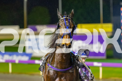 2025_PACEPIX_GP19082025_RACE6_TartanRobyn_WIN_WEB-15
