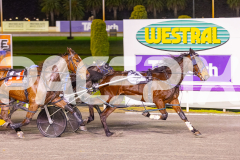 2025_PACEPIX_GP19082025_RACE6_TartanRobyn_WIN_WEB-8