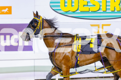 2025_PACEPIX_GP05122025_RACE6_TheIronDuke_WIN_WEB-11