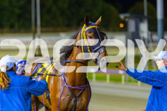 2025_PACEPIX_GP05122025_RACE6_TheIronDuke_WIN_WEB-12