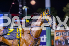 2025_PACEPIX_GP05122025_RACE6_TheIronDuke_WIN_WEB-9