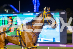 2025_PACEPIX_GP10102025_RACE6_TheIronDuke_WIN_WEB-16