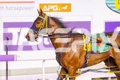 2025_PACEPIX_GP10102025_RACE6_TheIronDuke_WIN_WEB-18