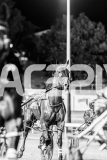 2025_PACEPIX_GP10102025_RACE6_TheIronDuke_WIN_WEB-2