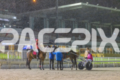 2025_PACEPIX_GP24102025_Race6_TheWandWaver_WIN_WEB-14