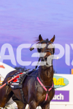 2025_PACEPIX_GP02122025_Race6_TooFarAwayTed_WIN_WEB-19