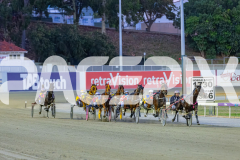 2025_PACEPIX_GP02122025_Race6_TooFarAwayTed_WIN_WEB-2