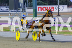 2025_PACEPIX_GP02122025_Race6_TooFarAwayTed_WIN_WEB-6
