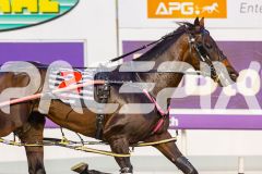 2025_PACEPIX_GP02122025_Race6_TooFarAwayTed_WIN_WEB-8