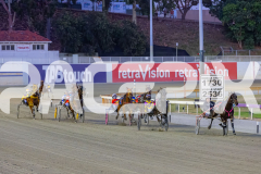2025_PACEPIX_GP02122025_Race6_TooFarAwayTed_WIN_WEB-9