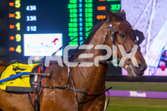 Trittrittbangbang_21-10-2025_WIN_Gloucester-Park_6__09