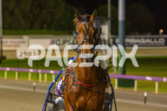 Trittrittbangbang_21-10-2025_WIN_Gloucester-Park_6__10