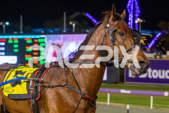 Trittrittbangbang_21-10-2025_WIN_Gloucester-Park_6__11