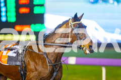 2025_PACEPIX_GP25072025_Race6_TwobobCracker_WIN_WEB-10