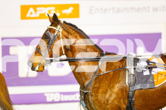 2025_PACEPIX_GP25072025_Race6_TwobobCracker_WIN_WEB-14