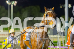 2025_PACEPIX_GP25072025_Race6_TwobobCracker_WIN_WEB-15
