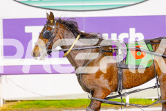 2025_PACEPIX_GP03062025_RACE6_Twoheartonediamond_WIN_WEB-14