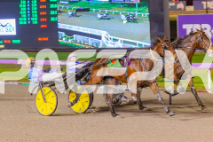2025_PACEPIX_GP03062025_RACE6_Twoheartonediamond_WIN_WEB-6