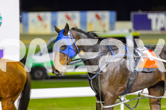 2026_PACEPIX_GP08052026_Race6_UltimateMiki_WIN_WEB-21