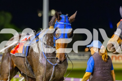 2026_PACEPIX_GP08052026_Race6_UltimateMiki_WIN_WEB-26