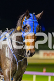 2026_PACEPIX_GP08052026_Race6_UltimateMiki_WIN_WEB-27