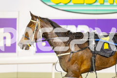 2025_PACEPIX_GP08072025_Race5_ValhallaMiss_WIN_WEB-12