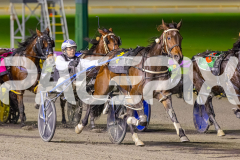 2025_PACEPIX_GP08072025_Race5_ValhallaMiss_WIN_WEB-3