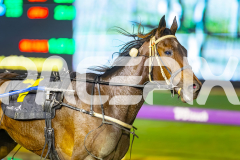 2025_PACEPIX_GP08072025_Race5_ValhallaMiss_WIN_WEB-8